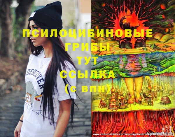 крисы Алексин
