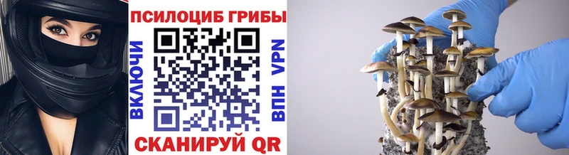 Галлюциногенные грибы Cubensis  Полысаево 